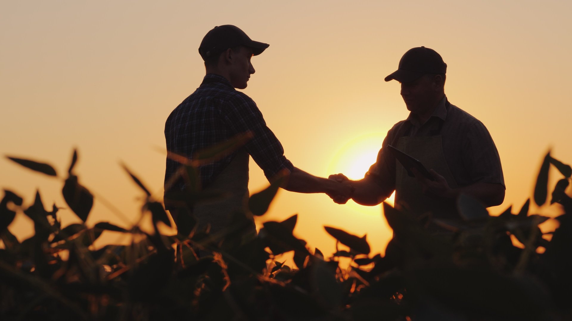 Two farmers talk on the field, then shake hands. Use a tablet